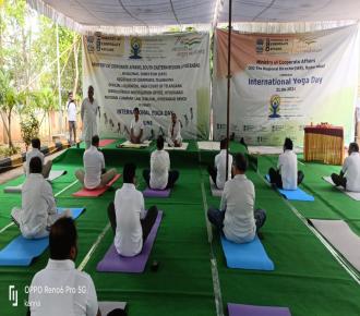 Yoga Day celebration 2024 at National Company Law Tribunal