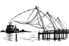 kochi